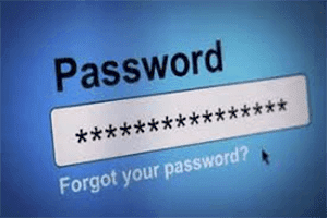 Password Reset